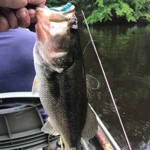 Meet your Posher, Eric